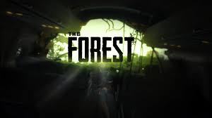 https://www.pcgamelab.com/horror/the-forest-game-download-for-pc/